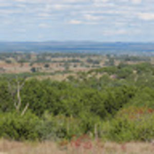 Meet your Posher, Maryann